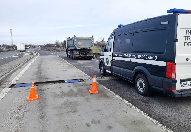 Kierujący dostawczakiem nigdy nie miał prawa jazdy, a kierowca wywrotki uprawnienia do kierowania stracił za przekroczenie liczby zebranych punktów karnych. To nie jedyne nieprawidłowości, które stwierdzili inspektorzy warszawskiego oddziału radomskiej Inspekcji Transportu Drogowego w trakcie kontroli prowadzonych na S8.