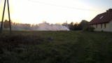 Pożar trawy w Tuchomiu (zdjęcia)