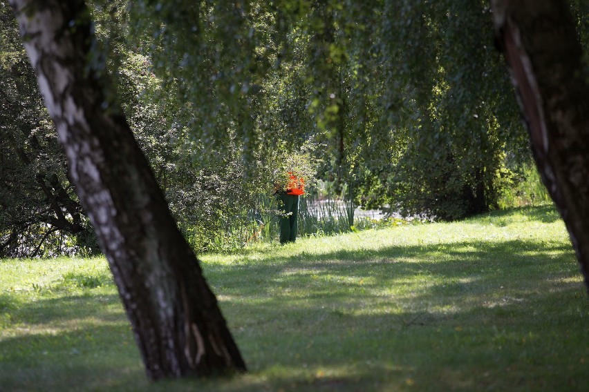 W Słupsku prowadzone są opryski trawników