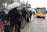 Wszystkich Świętych w Grudziądzu. Na cmentarze dojedziemy autobusami linii C [Rozkłady jazdy]  