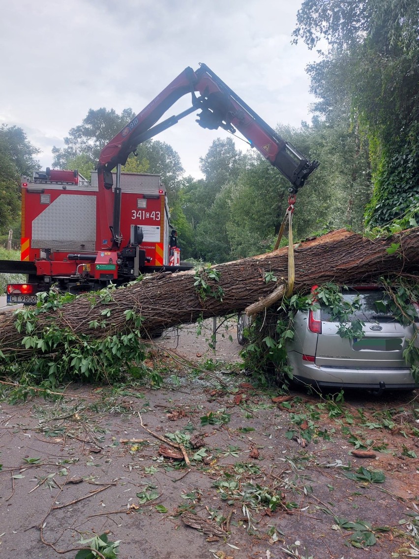 W Toruniu gwałtowny wiatr powalił drzewo na samochód! Mamy zdjęcia z akcji strażaków!