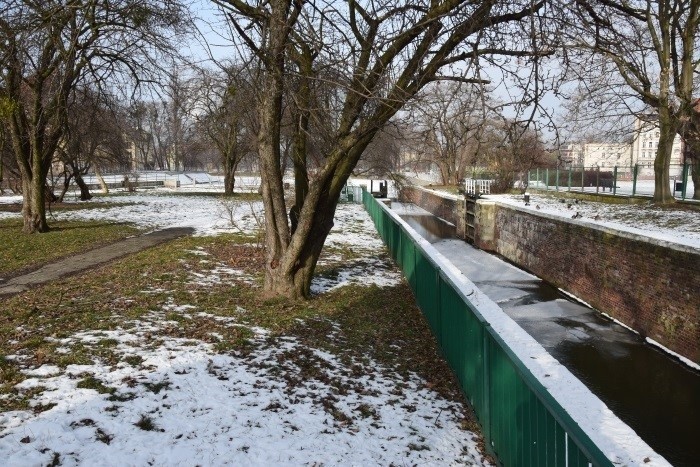 O Wyspie Daliowej ma być głośno. Pojawi się tam piękna...