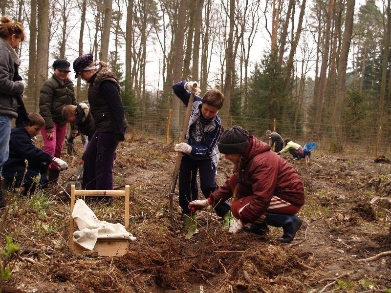 Ponad 200 uczniów sadziło dęby