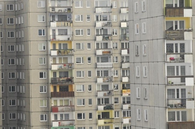 Ankieterzy urzędu statystycznego, którzy będą pukać do naszych drzwi, posiadają legitymacje i specjalne upoważnienia wydane przez dyrektora urzędu do prowadzenia badań ankietowych na 2015 rok.