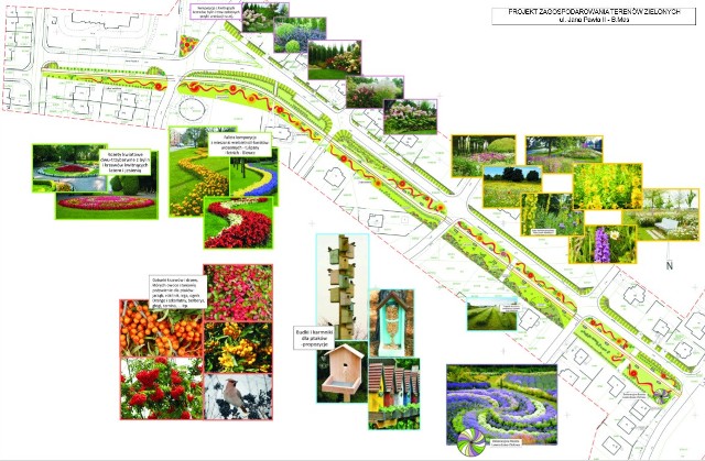 Koncepcja budowy ścieżek rowerowych oraz elementów małej architektury w obszarze A obejmującym ulicę Jana Pawła II.