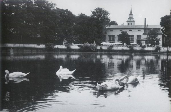 Będzie remont Mostku Japońskiego w Parku Kasprowicza [ZDJĘCIA] 