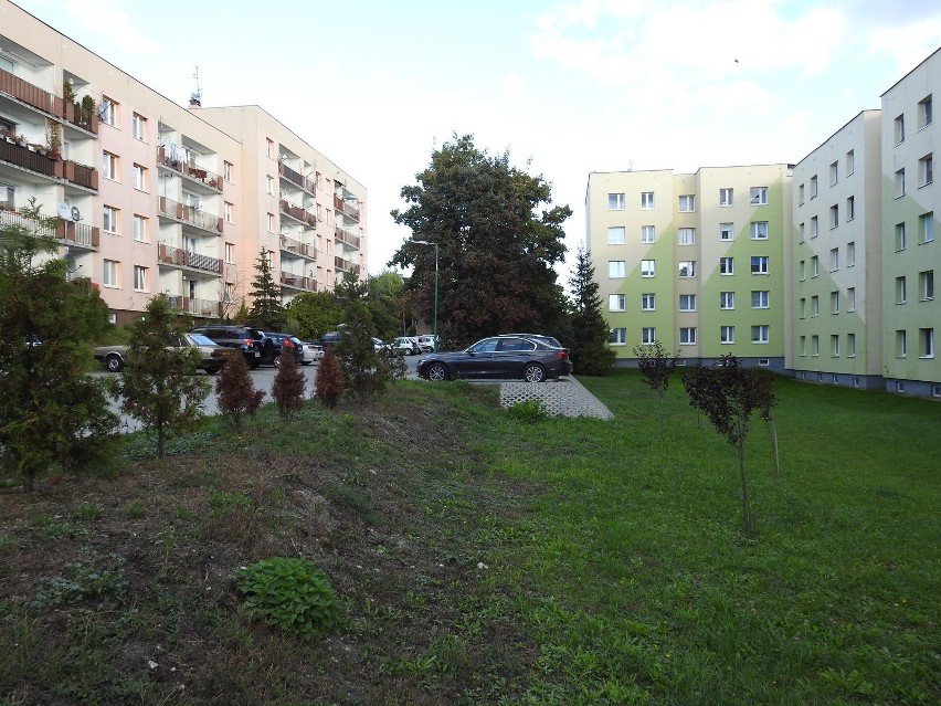 Na osiedlu Piłsudskiego w Busku-Zdroju chcą postawić ludziom śmietnik naprzeciw okien. Nikt nie wie dlaczego