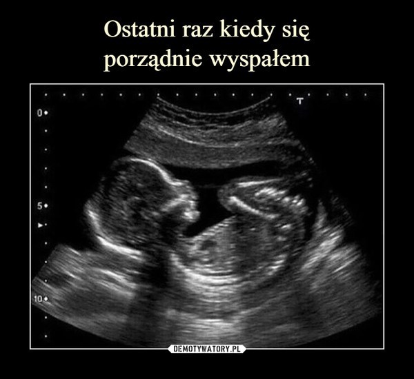 Światowy Dzień Snu. Lubicie spać? Zobaczcie memy o spaniu