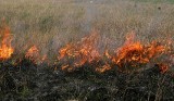 Strażacy alarmują: rośnie liczba pożarów traw