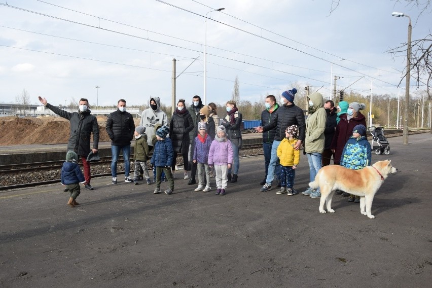 Warstwa pyłu trocinowego pokrywająca karoserię samochodów,...