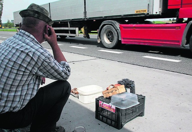 Praca sezonowa: jaki podatek? Dochód od sprzedaży zebranych jagód nie jest opodatkowany