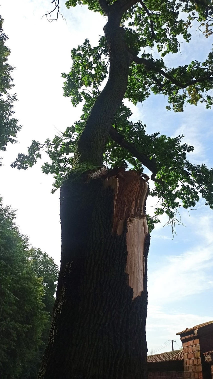 Gradobicie na Zamojszczyźnie. Straty po burzy są w całym regionie