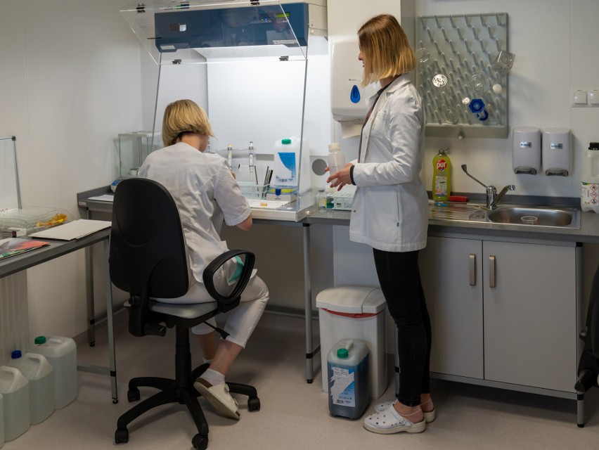 W Klinicznym Szpitalu Wojewódzkim nr 1 w Rzeszowie ruszyły badania cytogenetyczne oraz FISH u pacjentów z nowotworami krwi 