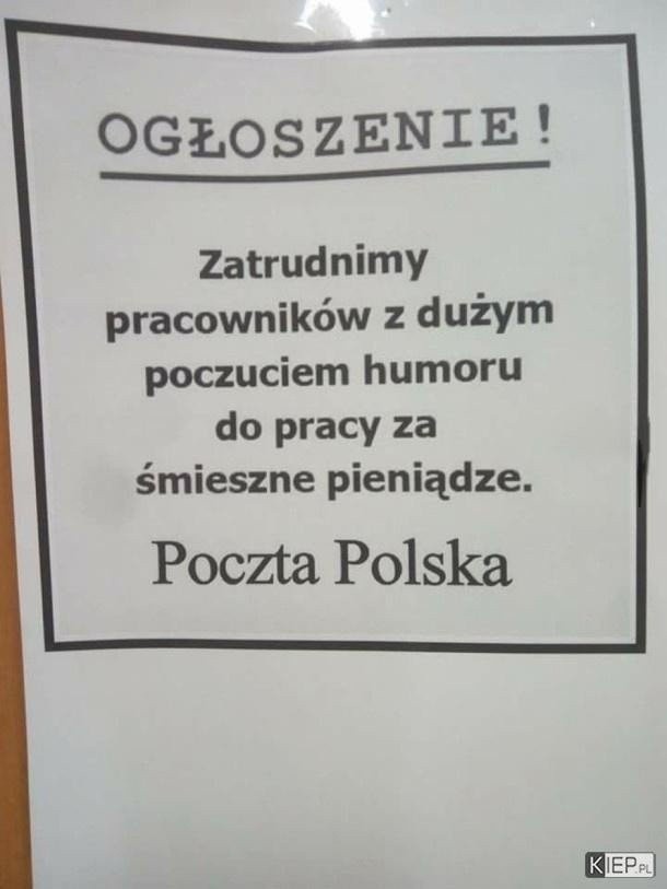 Oto najfajniejsze ogłoszenia o pracę! "Zatrudnię murarza, mogą być alkoholicy". Takich ogłoszeń w Internecie jest ich mnóstwo 6.02.2024