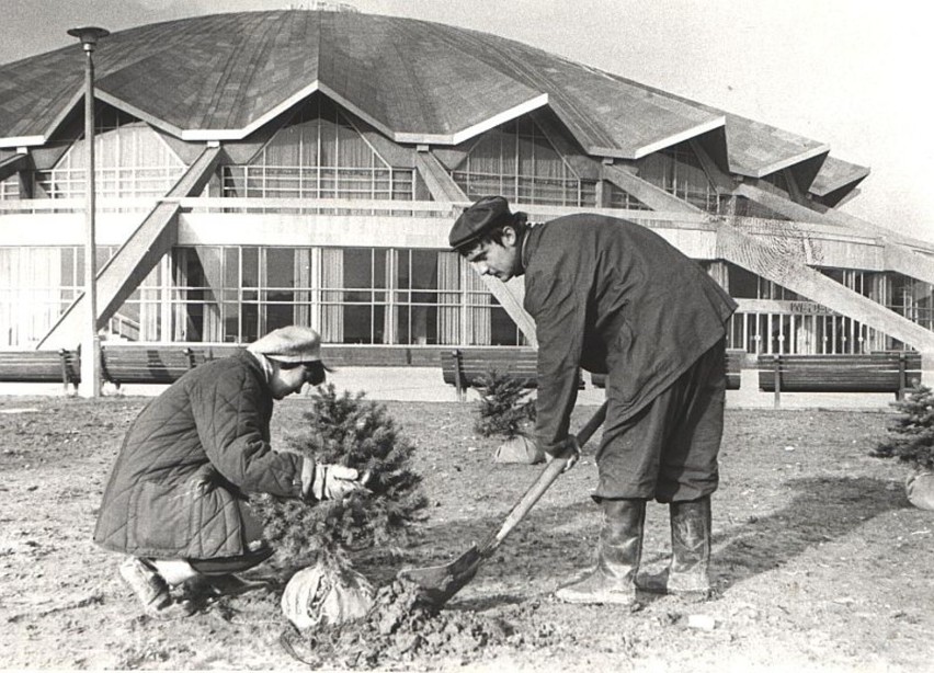 Arena w Poznaniu obchodzi jubileusz