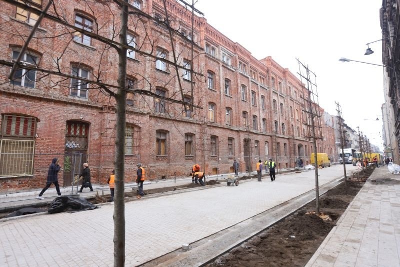 Kiedy pojedziemy Gdańską? Pierwsze takie płaskie lipy w Łodzi sadzone są właśnie na ul. Gdańskiej. 