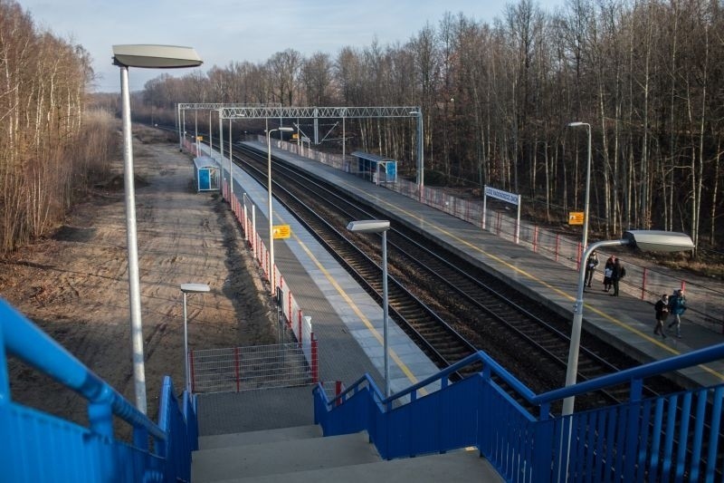 Nowe przystanki dla kolei aglomeracyjnej: Radogoszcz Zachód, Pabianicka, Dąbrowa