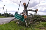 Nawałnica w 2017 roku w regionie. Mijają trzy laty od pamiętnej tragedii. Takie straty wyrządził żywioł