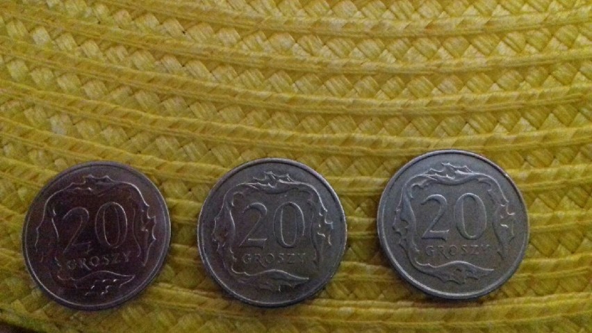 Na kilogram monet o nominale 20 groszy wchodzi ich 310.