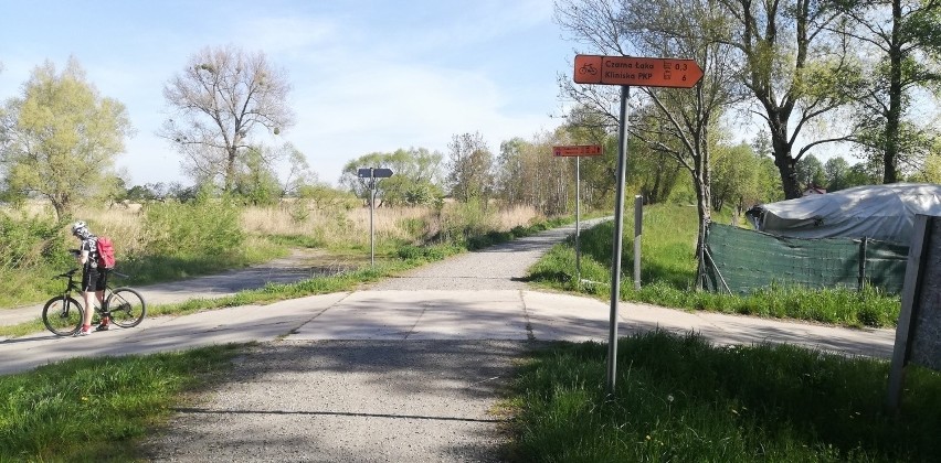 Rowerem Zalewu Szczecińskiego i Szczecin ze szlakiem Velo Baltica. Bardzo atrakcyjna trasa rowerowa zostanie dokończona. Jest przetarg