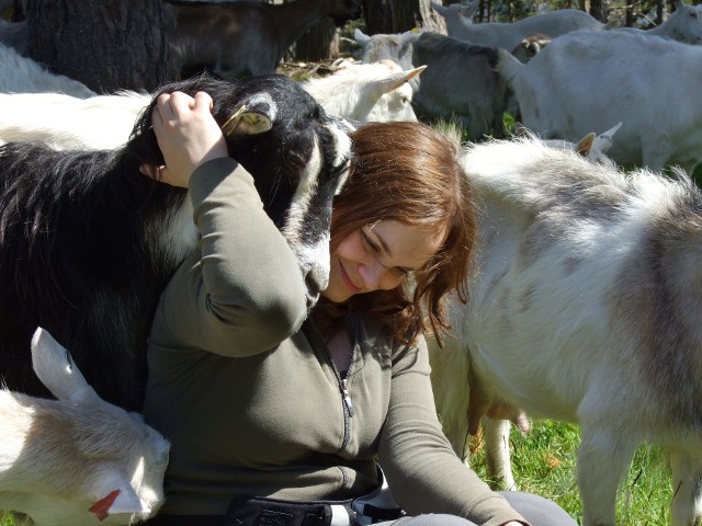 Joanna Błońska pracowała m.in. z kozami w Norwegii. Często trzeba było ich szukać w górach