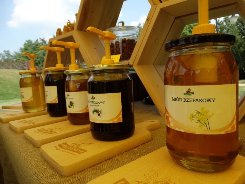 Wielki Dzień Pszczół w ogrodzie botanicznym w Mikołowie