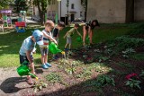 Ekologia od najmłodszych lat - zobacz, jak się jej uczą dzieci w Przedszkolu nr 100 w Łodzi