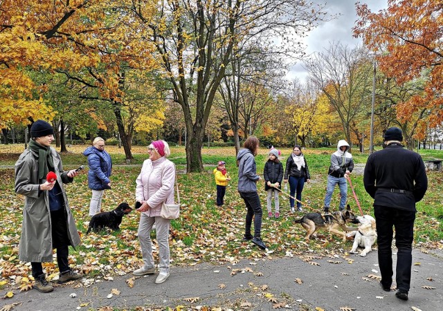 Akcja społeczna na rzecz powstania parku przy Radzikowskiego