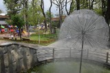 Bielski Park Słowackiego, czyli szczury, usychające drzewa i inne problemy