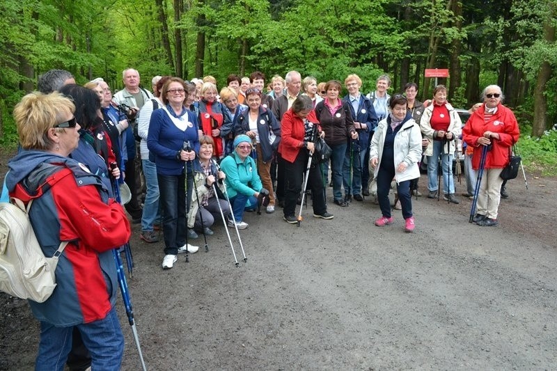 Bielsko-Biała: seniorzy włączyli się w ogólnopolski marsz UTW 2015 [ZDJĘCIA]