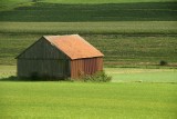 Chcę przyjąć Ukraińca do pracy w gospodarstwie. To daleki krewny, czy mogę ubezpieczyć go w KRUS?