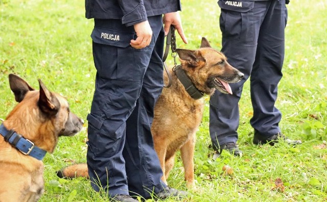 Hos, policyjny pies z komendy w Radomiu odszedł na zasłużoną emeryturę.