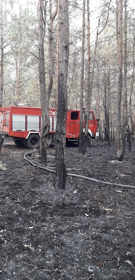 W gminie Odrzywół mamy do czynienia z plagą pożarów.