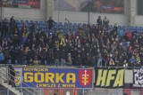 Piast Gliwice - Arka Gdynia. Kibice żółto-niebieskich na środowym meczu na stadionie miejskim w Gliwicach [zdjęcia]