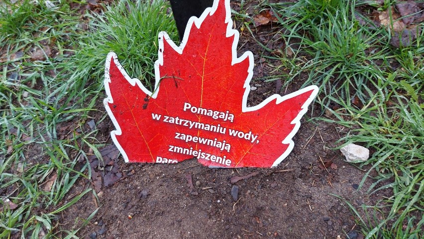 Zniszczona tablica w kształcie liścia w Parku Tysiąclecia w...