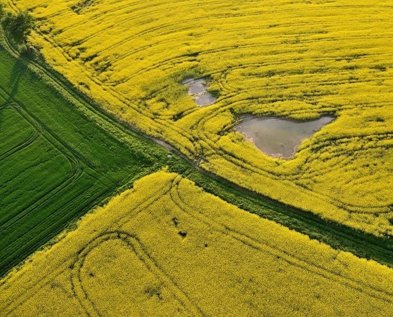 Tak wygląda Nowa Huta. Zobacz niesamowite zdjęcia z lotu ptaka 