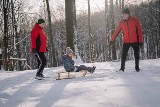 Bajeczna zima w Zielonym Lesie w Żarach. Jest pięknie, nic tylko spacerować!