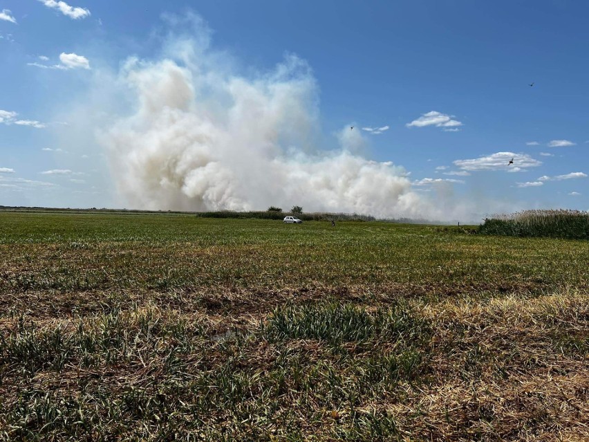 Samoloty gaśnicze w akcji. Wielki pożar w Biebrzańskim Parku Narodowym - WIDEO