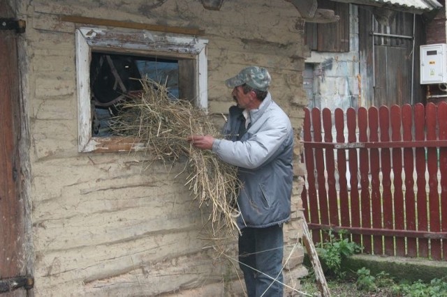 Sąsiedzi zmarłego wolą trzymać się z dala od koni. Karmią je przez okno. Rodzina chce je szybko sprzedać.