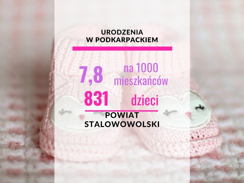 27. miejsce - powiat stalowowolski...