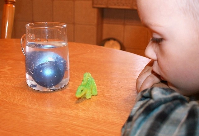Dzieci nie mogą oderwać wzroku od wykluwających się i rosnących w wodzie zwierzątek. Jednak połknięte fragmenty takich zabawek mogą być dla maluchów bardzo niebezpieczne