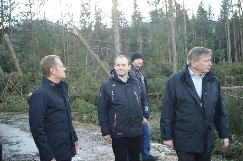 Premier Donald Tusk zobaczył krajobraz po halnym - tysiące powalonych drzew w Kościelisku