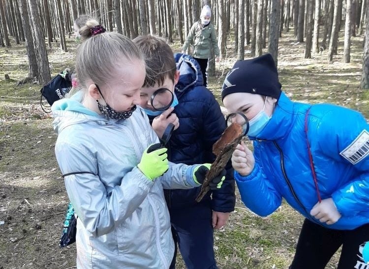 Uczniowie, podczas lekcji w lesie poznawali tajniki...