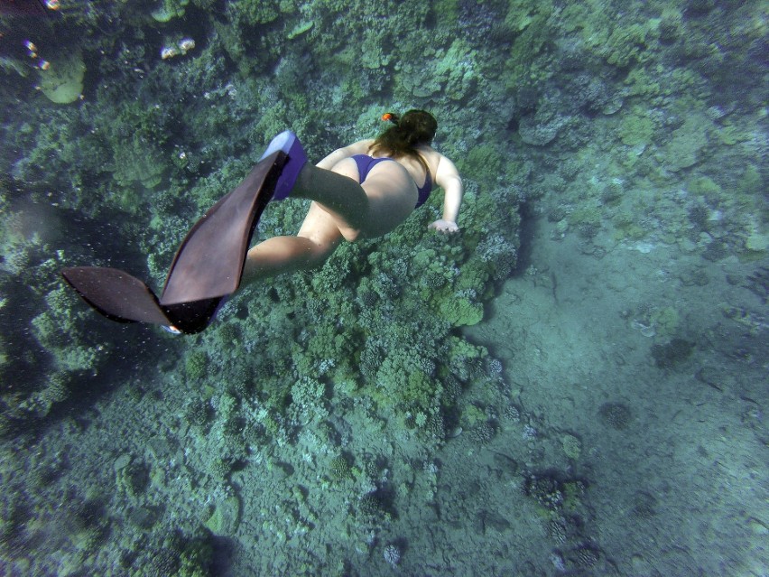 FREEDIVING...