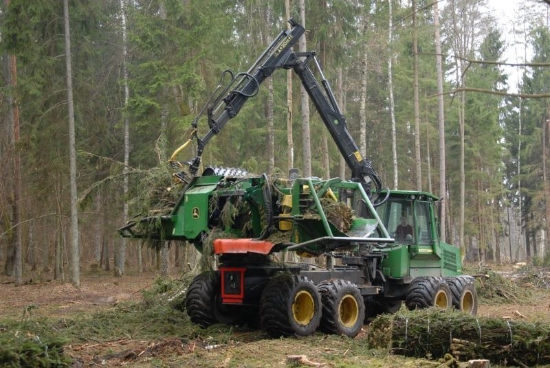 Regionalna Dyrekcja Lasów Państwowych zalesia Podlasie (zdjęcia)
