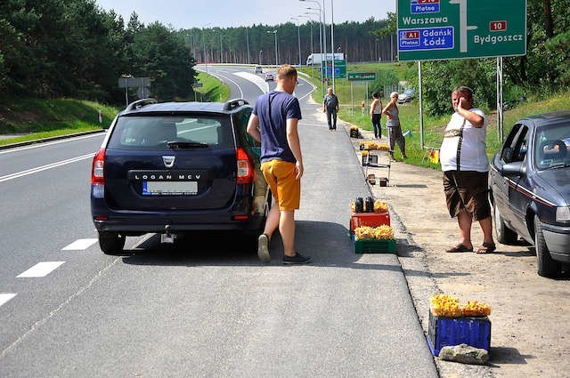 Kupujących jest wielu. Jeśli będzie deszcz, kurek w lasach nie zabraknie