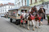 Tarnów. Wyruszył XIV Międzynarodowy Tabor Pamięci Romów [ZDJĘCIA]