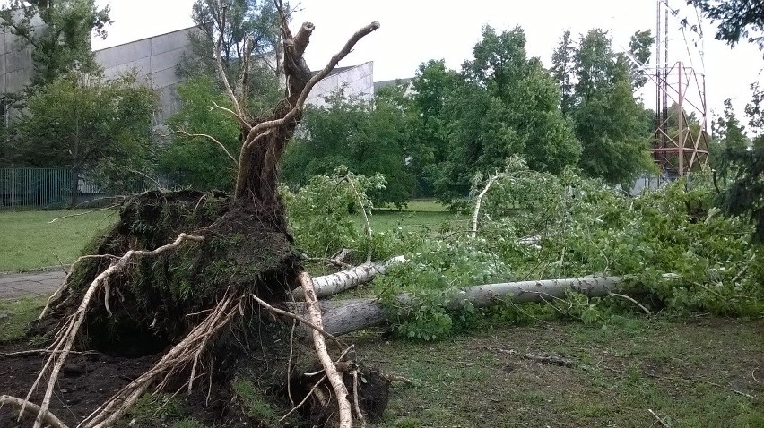 Skutki nocnej nawałnicy we Wrocławiu