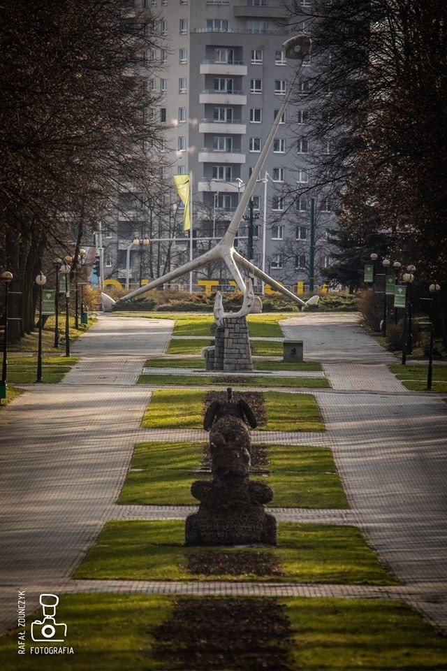 Park Śląski niemal opustoszał po informacji o stanie...