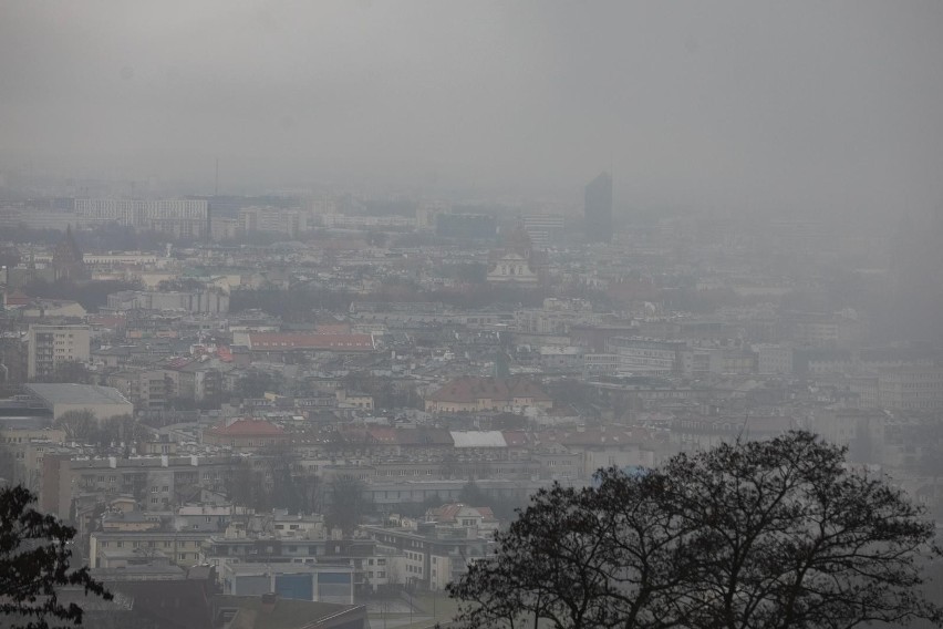 Kraków chce jak najszybciej osiągnąć neutralność klimatyczną. Ma w tym pomóc 300 tysięcy euro. "Ograniczymy emisję gazów"